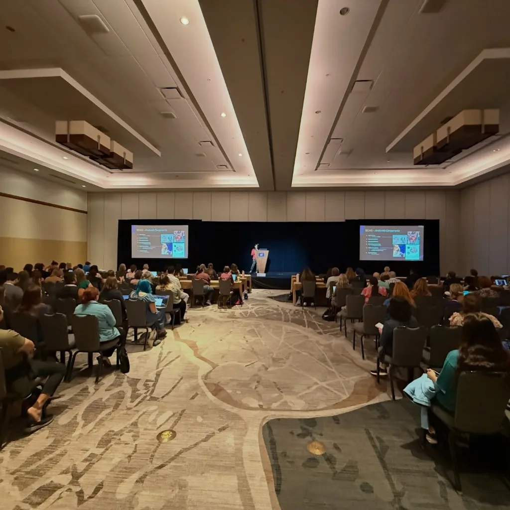 View from the back of a packed NAVDF 2026 lecture hall during Dr. Gaby’s anesthesia for brachycephalic dermatology patients talk