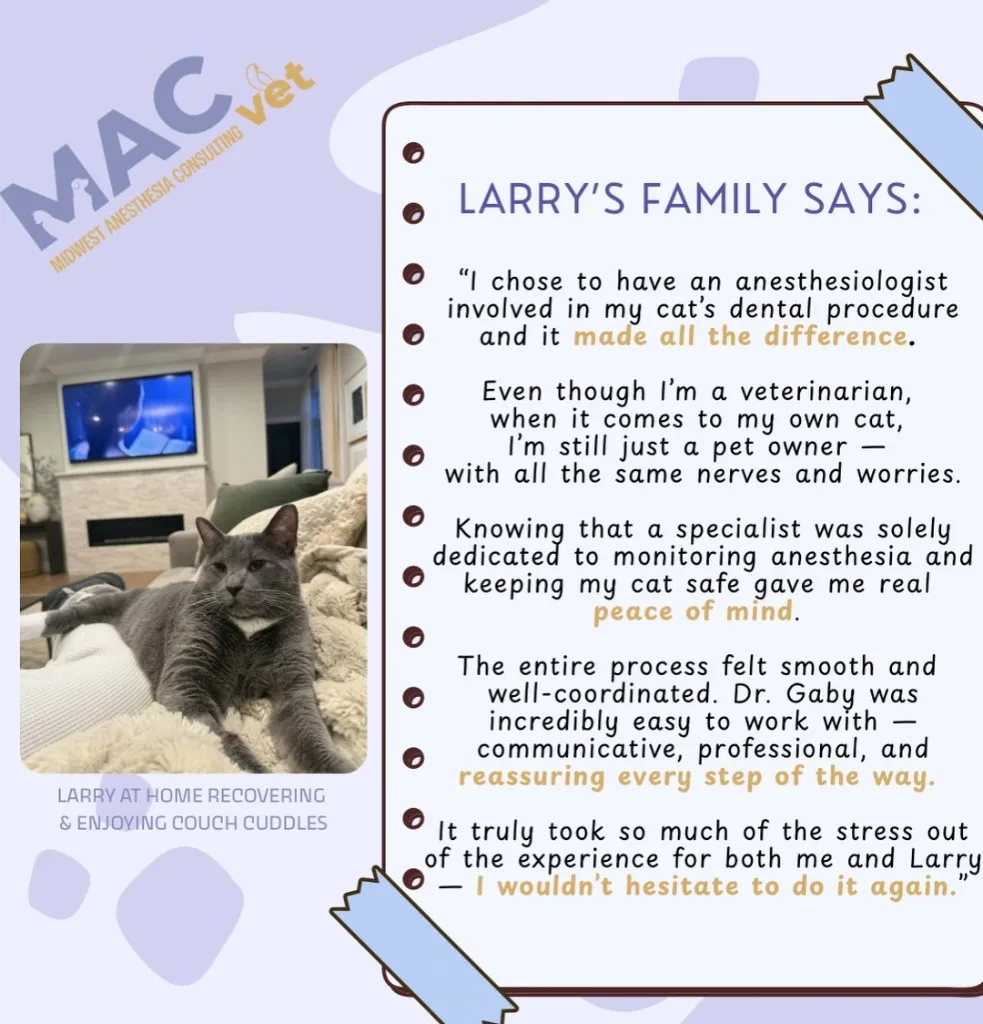 Larry the gray cat at home recovering on the couch, with a testimonial from his family