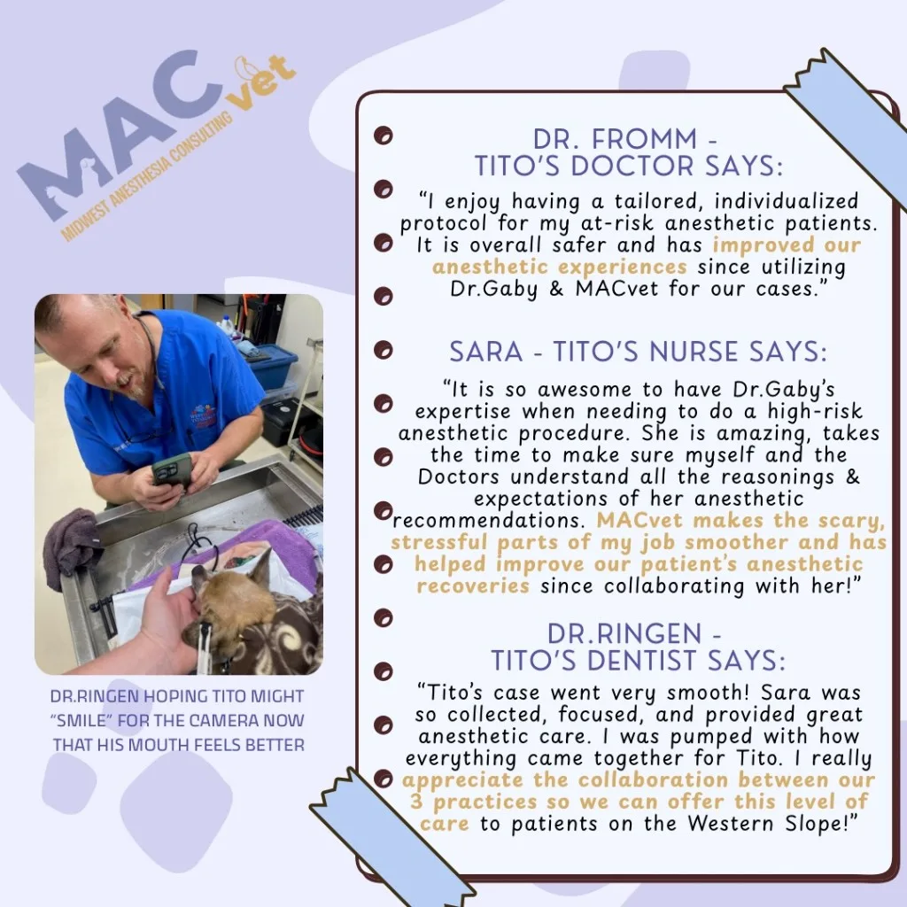 Testimonials from Dr. Fromm, Sara the nurse, and Dr. Ringen about working with MACvet on Tito’s case