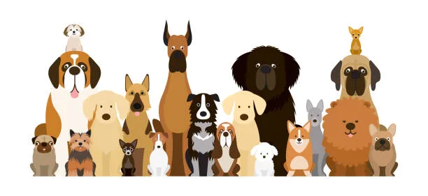 Illustration of various dog breeds included in the study