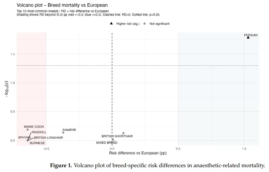 Volcano plot showing breed-specific risk differences in anaesthetic-related mortality compared to European/Domestic Shorthair cats, with Persians showing significantly higher risk