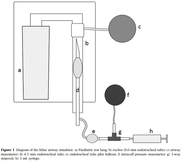 Figure 1: Diagram of the feline airway simulator showing paediatric test lung, trachea, ETT, manometer, pilot balloon, intracuff pressure manometer, 3-way stopcock, and 3mL syringe