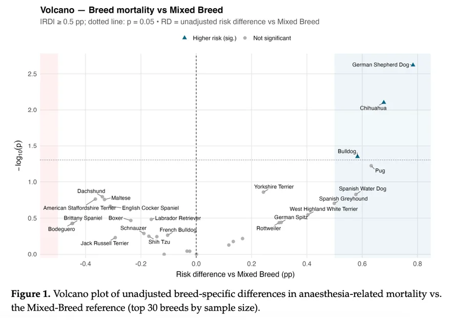 Volcano plot of unadjusted breed-specific differences in anesthesia-related mortality vs. Mixed Breed reference