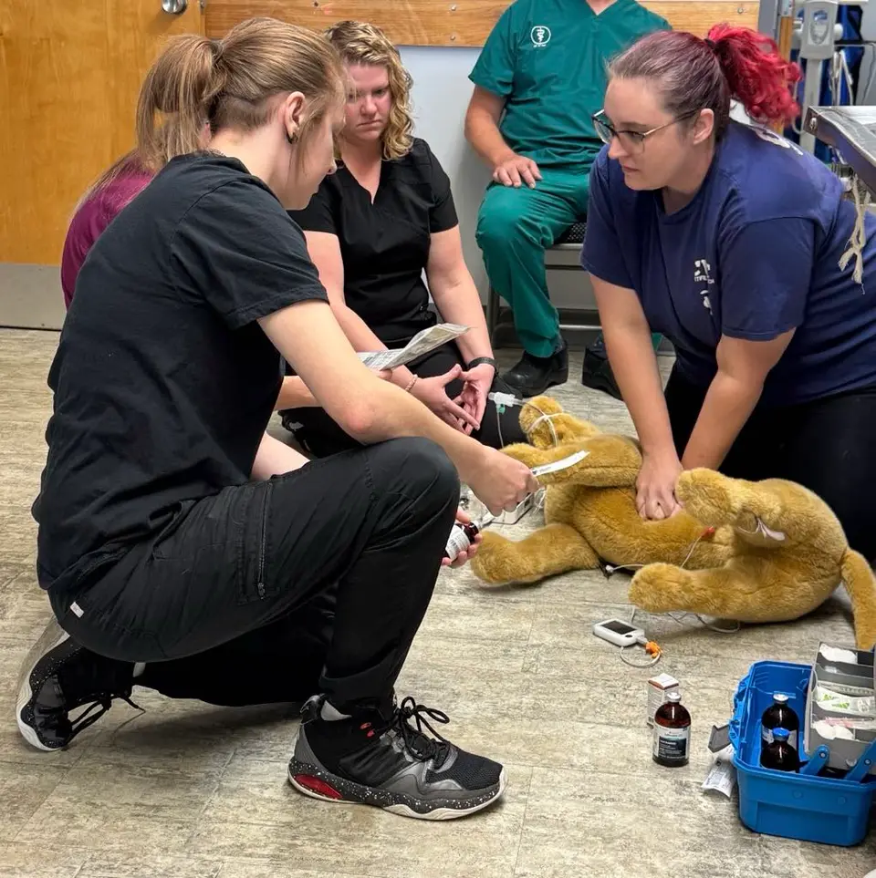 Hands-on anesthesia training session