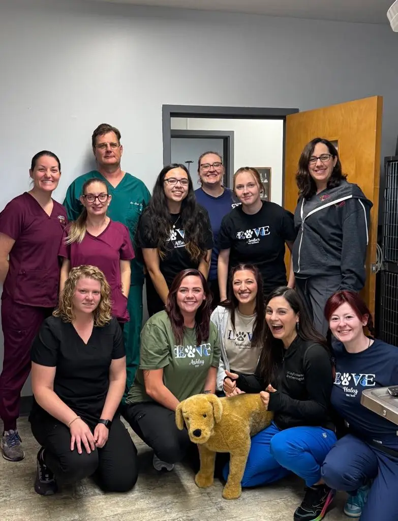 Veterinary team group training