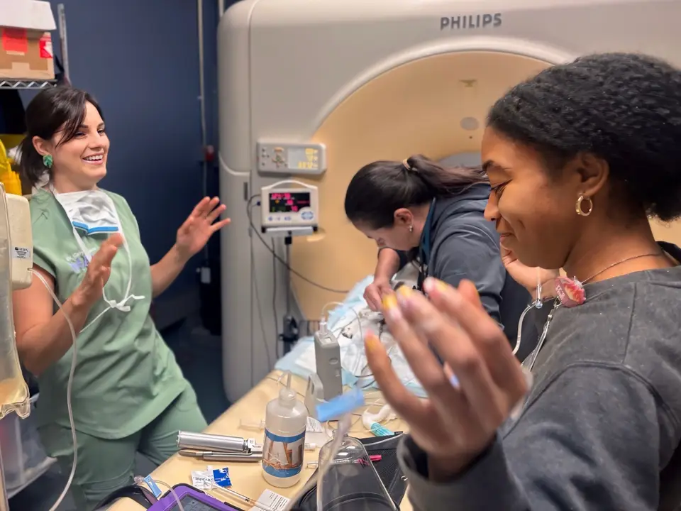 Clinical workshop with veterinary professionals