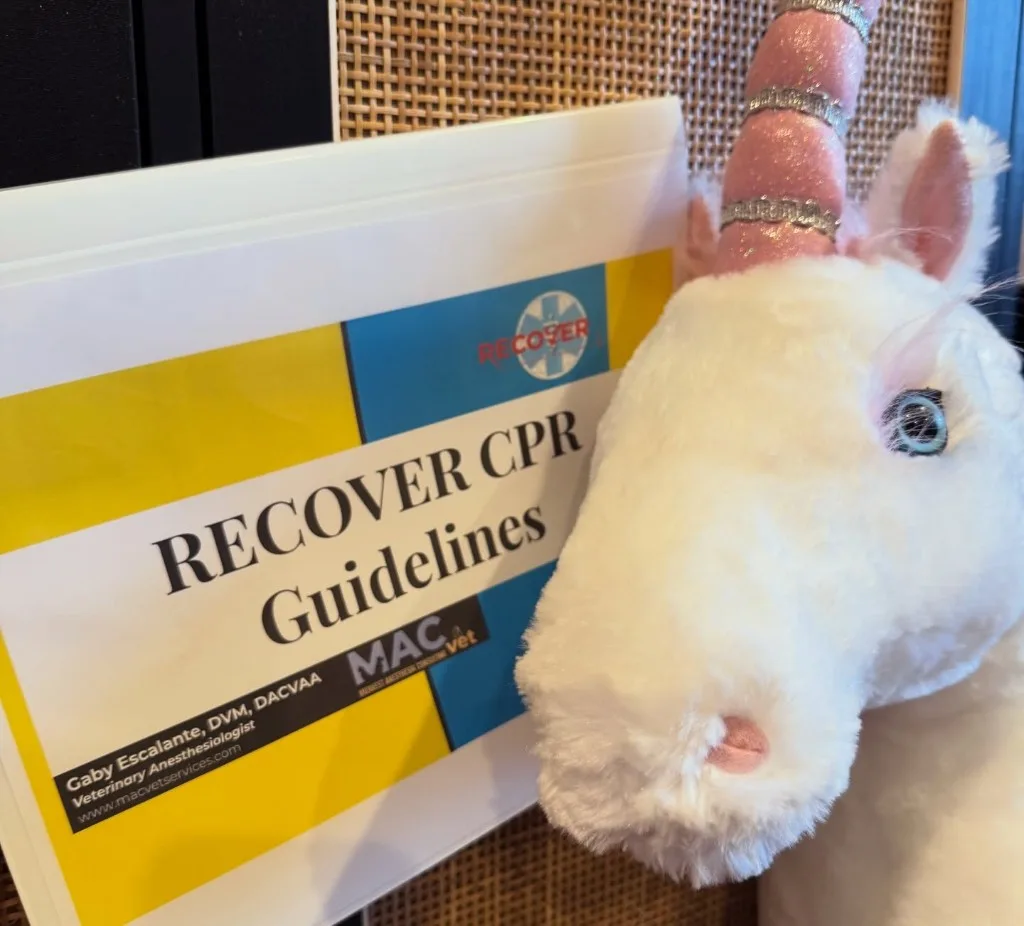 Petunia the unicorn CPR manikin next to a RECOVER CPR Guidelines binder by Dr. Gaby Escalante, DVM, DACVAA