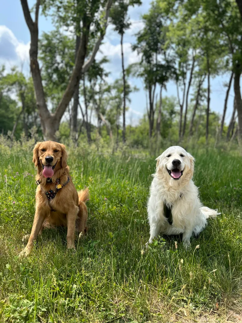 Winry and Odin